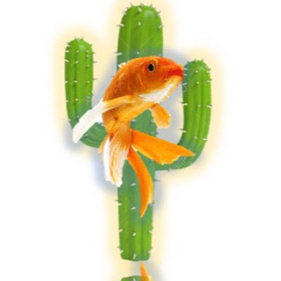 El Cactus Marino