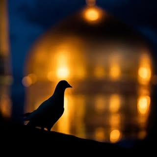 امام رضا