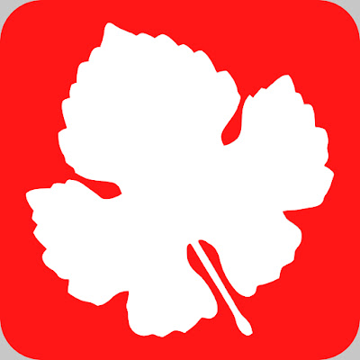 Enab Baladi Newspaper