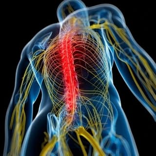 Endbackpain