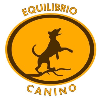 Equilibrio Canino | Adiestramiento y Alimentación Canina