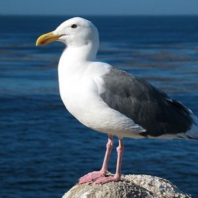 Pray Always! 🇺🇸🇮🇱