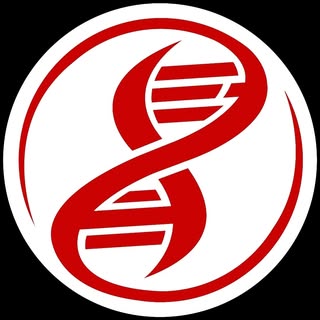 Evrim Ağacı