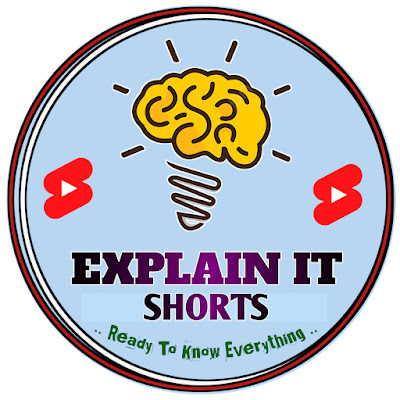 ExplainIt Shorts