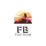 FactBurst
