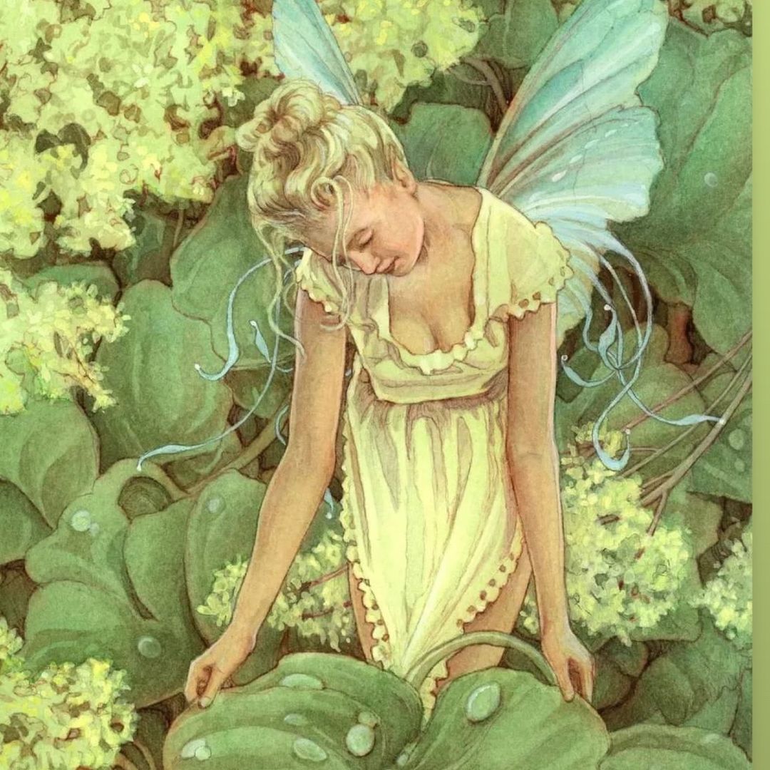 Fairy Of Wisdom
