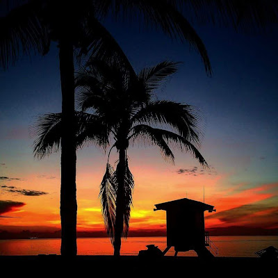 Florida Life