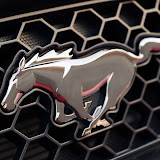 Ford Mustang Club