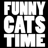 Funny Cats Time