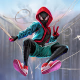 Fun Spiderman Tv