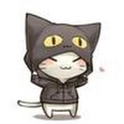 gatito_hao