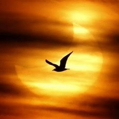 God Shine