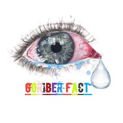 GORIBER FACT CHANNEL 2.0
