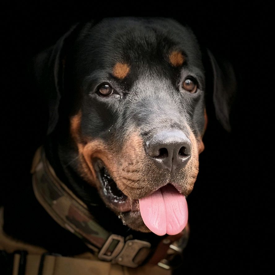 Hachy_Khu Bà Chiểu