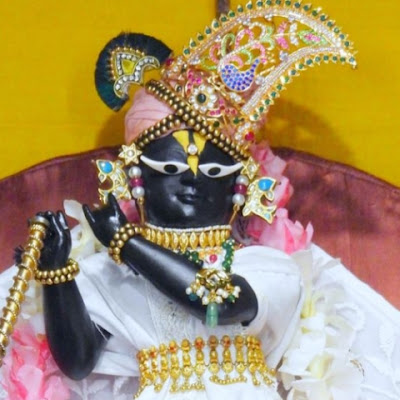 Hari Hari Bol