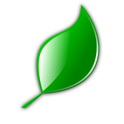 Herbal Care For You