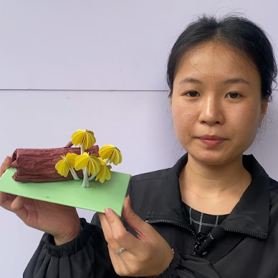 Hoa Trang DIY