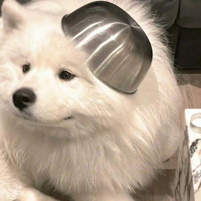 HootHype
