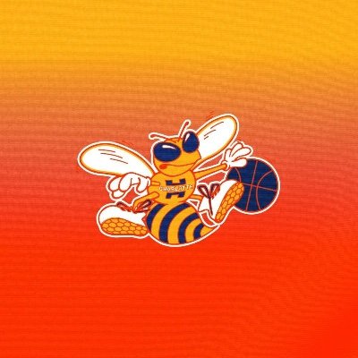 Charlotte Hornets