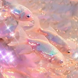 Inafish