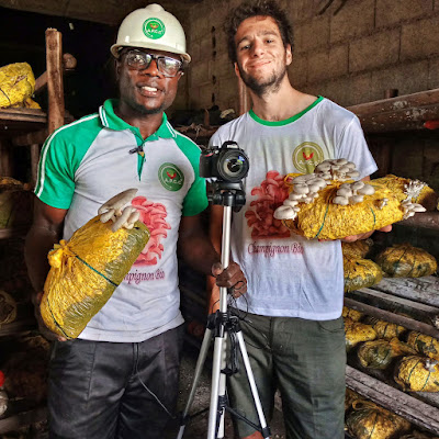 Investir En Afrique 5,5M