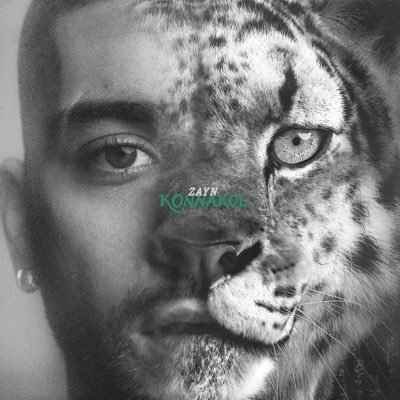 ZAYN HQ