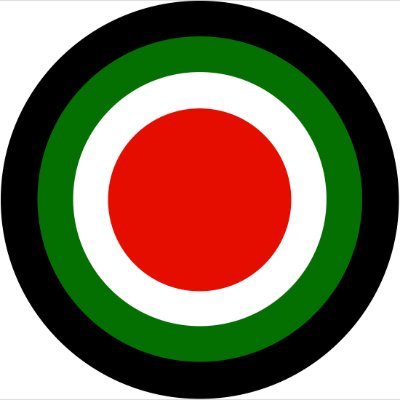 International Solidarity Movement
