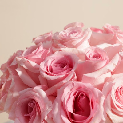 its rose drama