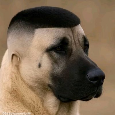 star code jake
