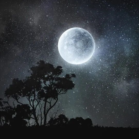 Jmoonmovies