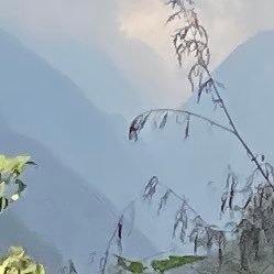 Jugal Bhurtel