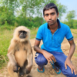 Jugal Dreams