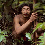 Jungle Survival Skills