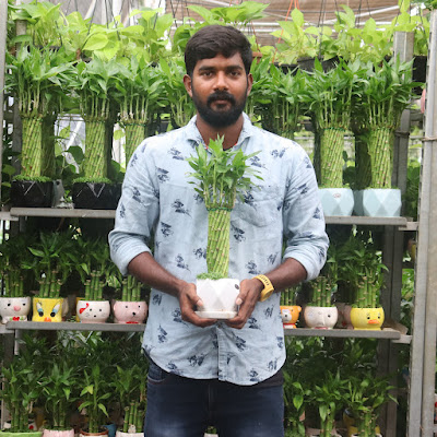 Kadiyam Abbai