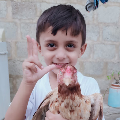 Karachi Pet Lovers