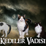 Kediler Vadisi