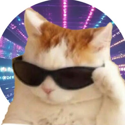 Kedi Memes