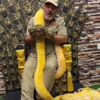King Snake✅