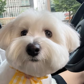 꾸마꾸마고꾸마🍠