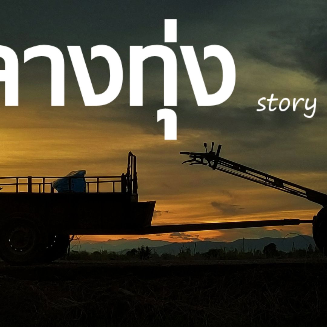 กลางทุ่ง สตอรี่