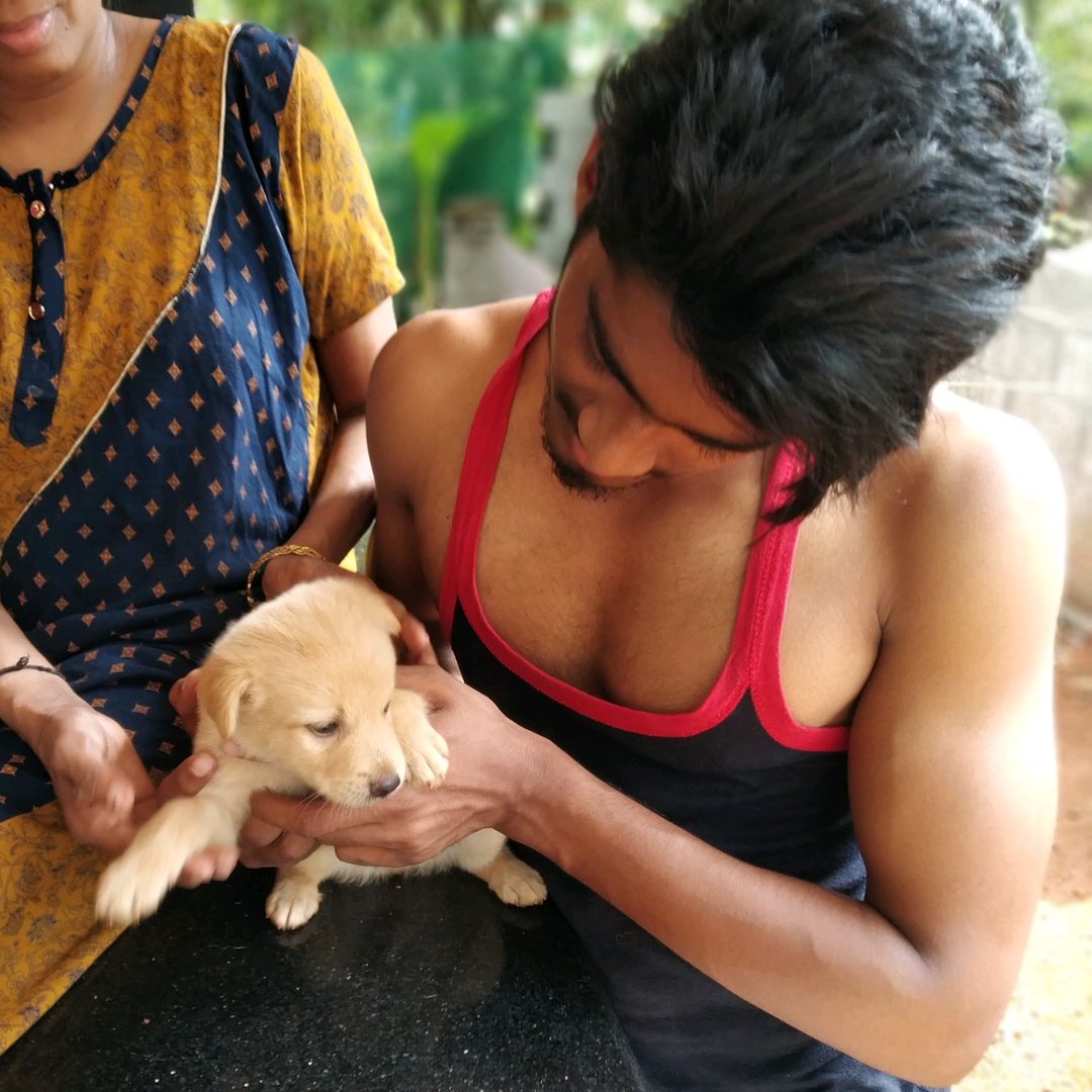 KUTTAN PILLA🐕❣️