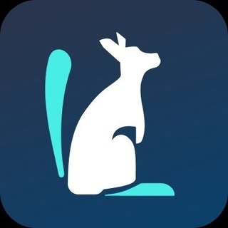 Langaroo