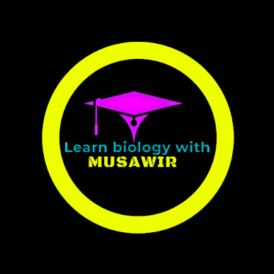 Learn biology With Musawir