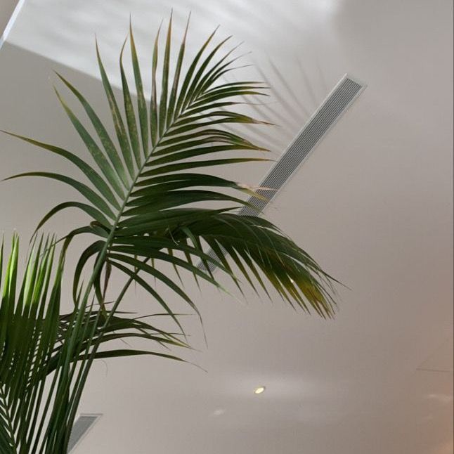 Les rappels d’une soeur