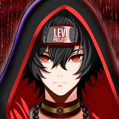 Levi PROJECT