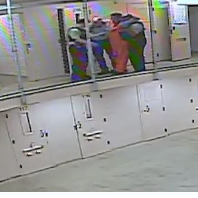 LightsCameraAction 🔍