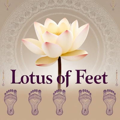 Lotus of Feet