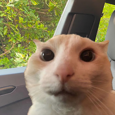 LOUIEChannel