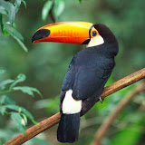Marcio Novais