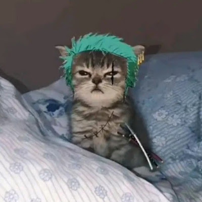 Marimoo